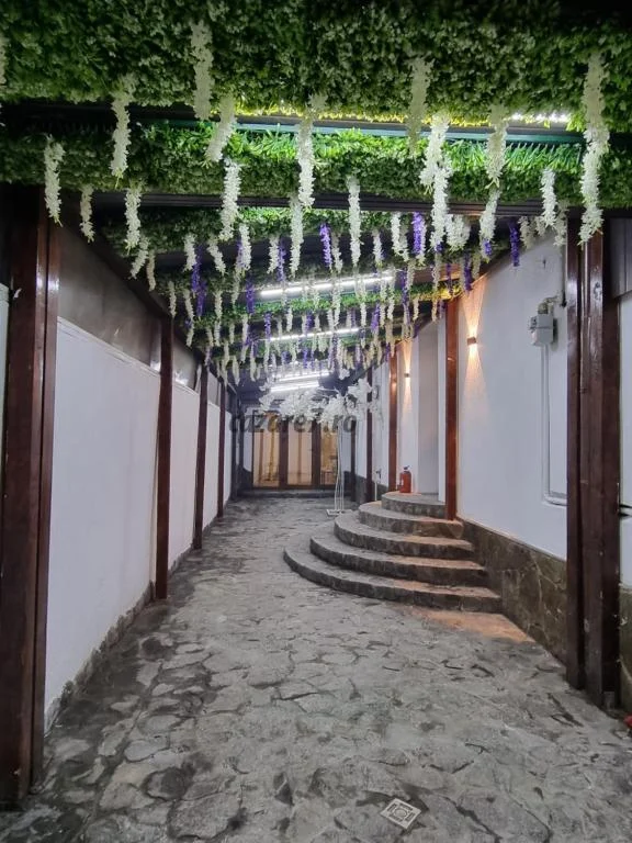 Aleea interioară decorată cu verdeață la Casa Ober